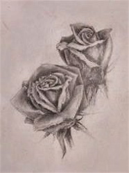 Sketchbook Roses