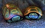 painted turtles