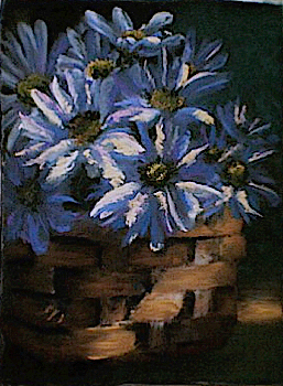 DaisyBasket-Update DaisyBasket-Update