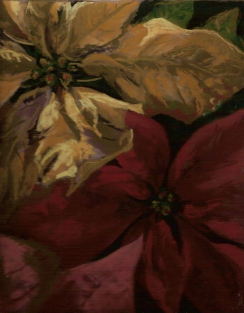 Poinsettias
