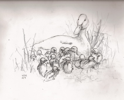 WDE Feb09_Ducks WDE Feb09_Ducks