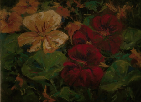 Nasturtiums - step 3 Nasturtiums - step 3
