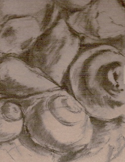 Shells - Step 1